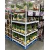 Buy cheap Ez Racks Euro Danish Flower Trolley Canada Ez Container from wholesalers