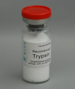 China Cell Dissociation Solution, Recombinant Trypsin, Expressed in E.coli, For Cell Fermentation wholesale