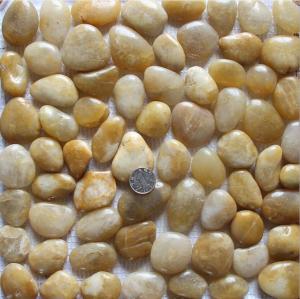 China Yellow Pebble Mosaic,Yellow Cobble Stone On Mesh,River Stone Mosaic Sheet,Meshed Pebbles wholesale