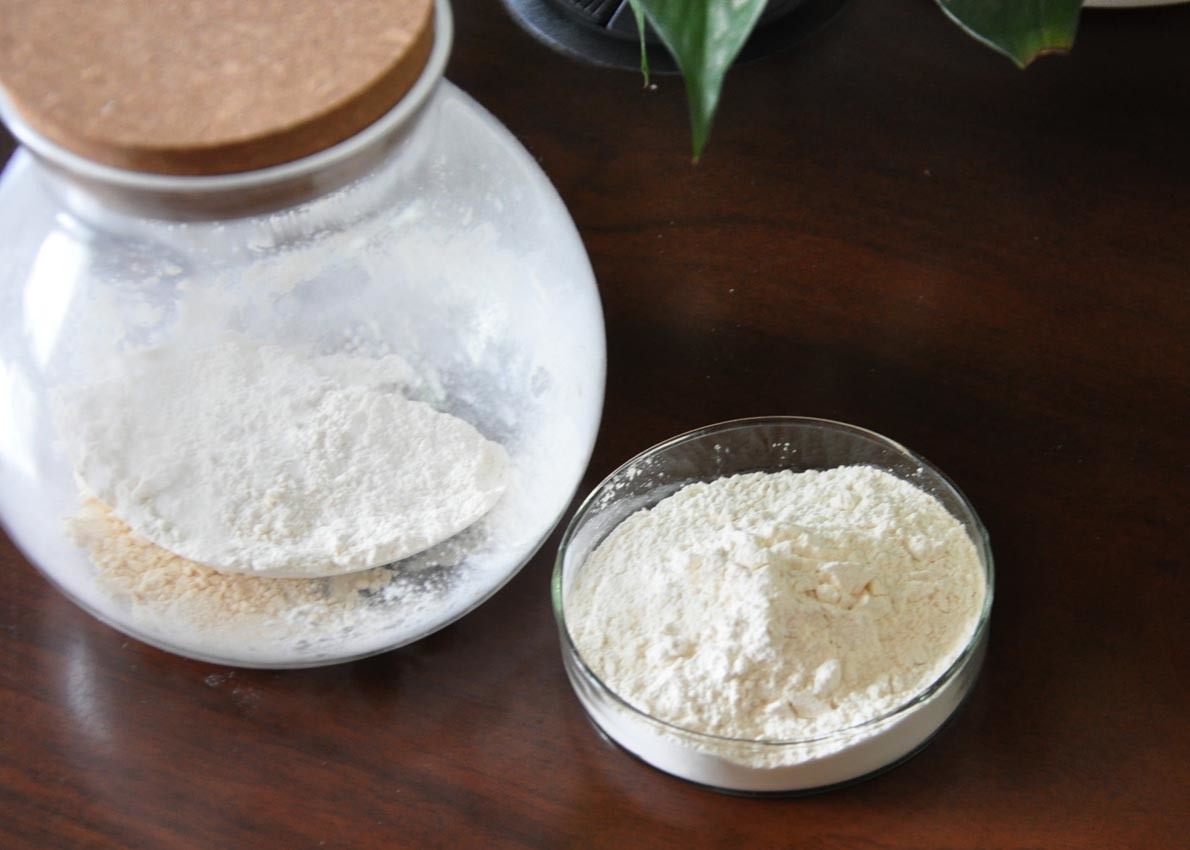 China White Calcium Chondroitin Sulfate Powder NSF-GMP Verified wholesale