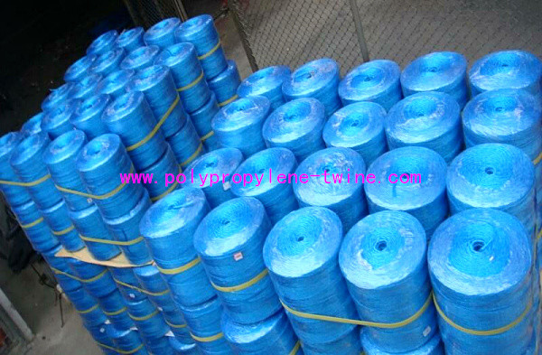 China UV Additive Blue Color PP Baler Twine High Strength For Packaging Machine wholesale