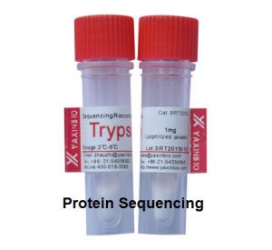 China Sequnencing Grade Trypsin For In-gel Protein Digestion, Sequencing Grade Modified Recombinant Trypsin wholesale