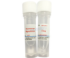 China 9000KIU/mg Pro. Competitive Serine Protease Inhibitor Aprotinin wholesale
