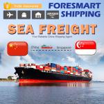 China TUV Ocean Freight From China To Singapore Freight Forwarder wholesale