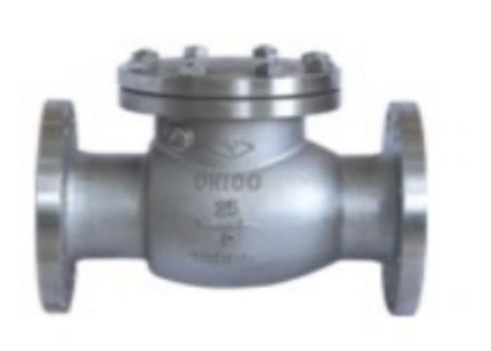 China Stainless Steel Flanged Swing Check Valve Material Nitric Acid 1.6/2.5/4.0Mpa wholesale