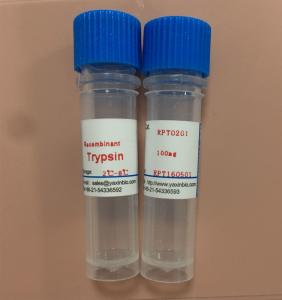 China Recombinant Protein, Expressed in Recombinant E.coli System, Purified With Chromatography wholesale