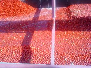 China 1kg Bag Packing Tomato Paste Making Machine 3 Tons Per Hour wholesale