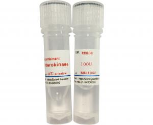China 9017-74-8 Recombinant Enterokinase , High Purified Recombinant Bovine Enterokinase Light Chain wholesale