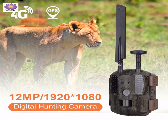 China 2019 Popular Night Vision Hunting Camera Motion Sensor Outdoor Waterproof Wildlife Digital Hunting Scouting Trail Camera wholesale