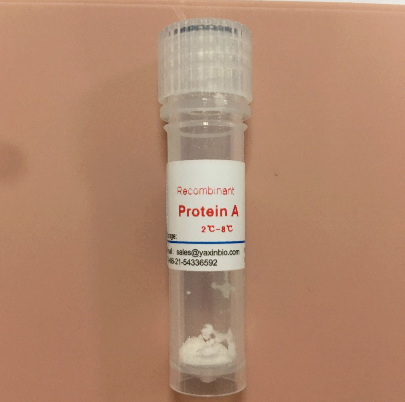 China Protein A, Cas 91932-65-9, ELISA or Immunohistochemical Tests Antibody Test wholesale
