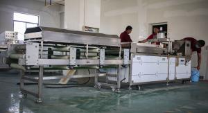 China Electric 30cm 1300pcs/h Commercial Tortilla Machine wholesale