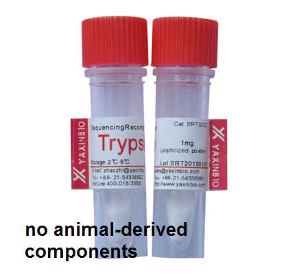China Sequencing Grade Recombinant Trypsin, for in-gel Protein Digestion by Shanghai YaxinBio wholesale