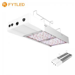 China T828 800W 0-10V Dimmable LED Grow Light 5 Years Warranty For Agrotech wholesale