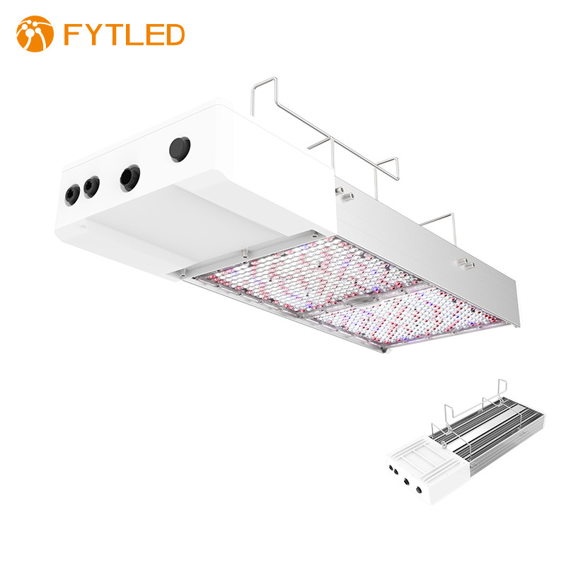 Buy cheap T828 800W 0-10V Dimmable LED Grow Light 5 Years Warranty For Agrotech from wholesalers