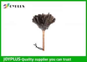 China Professional Home Cleaning Tool Ostrich Feather Duster Bamboo Handle wholesale