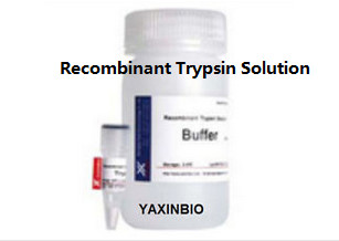 China High Purity Recombinant Trypsin Solution 1/2500 for Cell Separation wholesale
