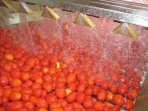 China Fresh Tomato Ketchup Jam Paste Sauce Processing Line wholesale