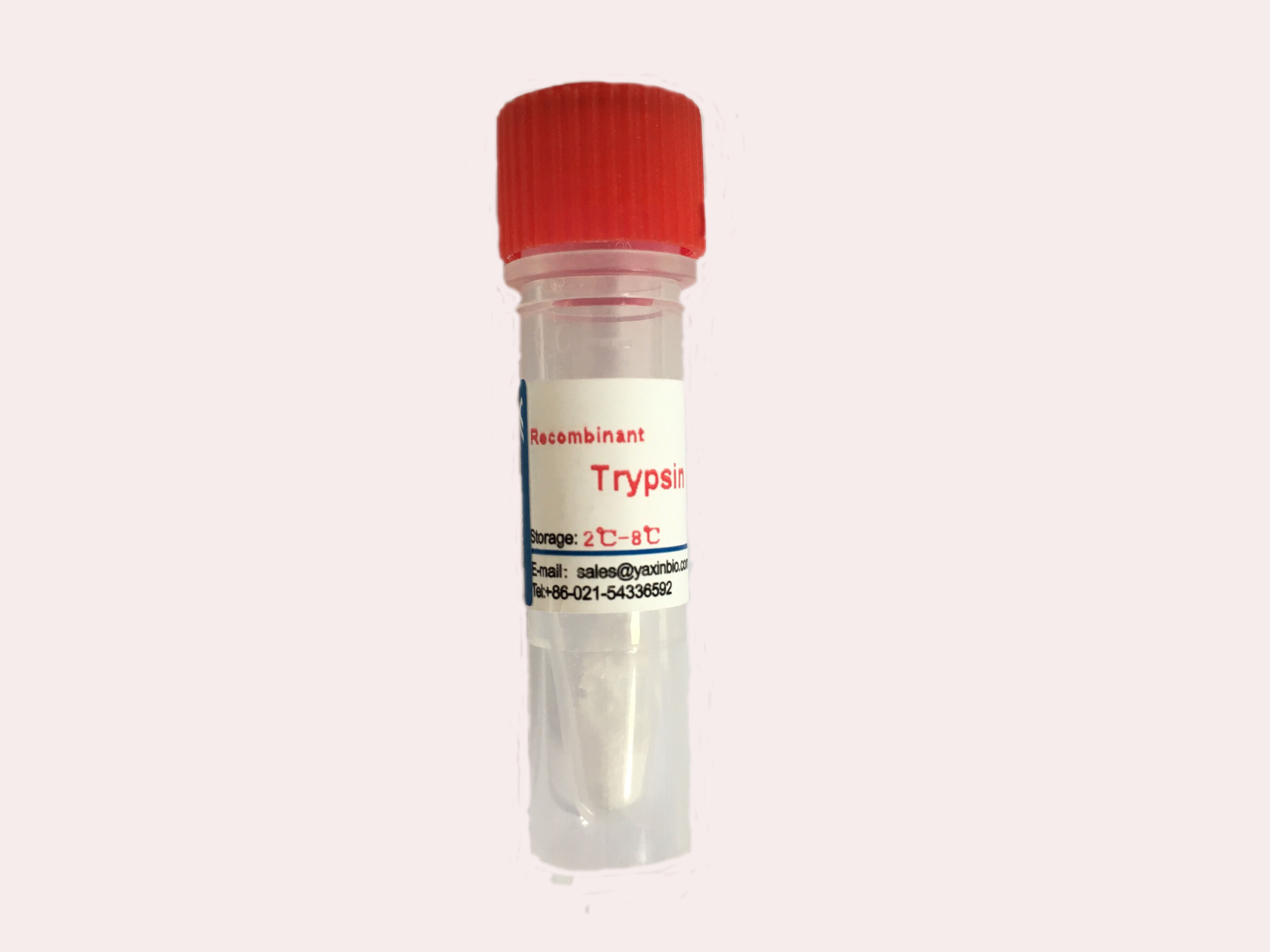 China Colorless High Activity Recombinant Trypsin CAS No.9002-07-7 wholesale