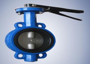 China Anticorrosive Ductile Iron Butterfly Valve , Grey Pinless Butterfly Wafer Type Valve wholesale
