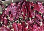 China 25lbs Sweet Paprika Pepper 130mm Dried Sweet Chili Low Scoville wholesale