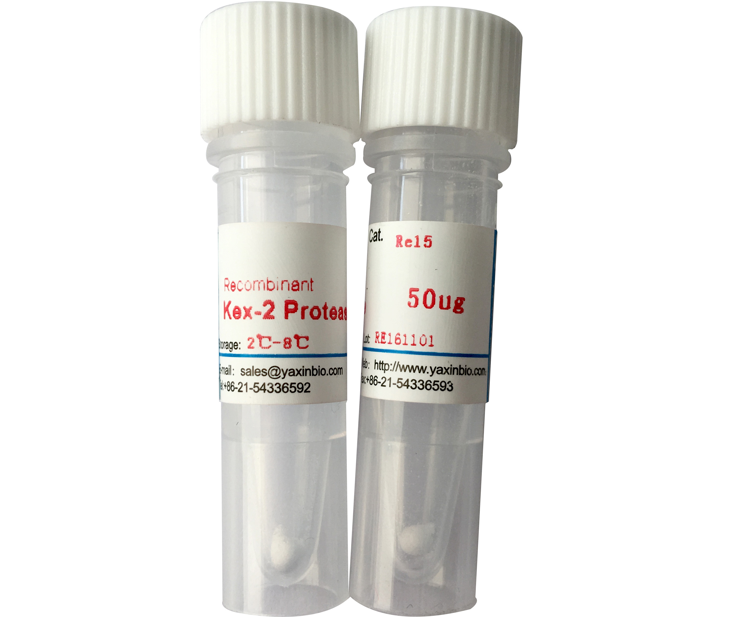 High Purity, Kex2 Protease, Genetically Engineered Protein, Expressed in Pichia