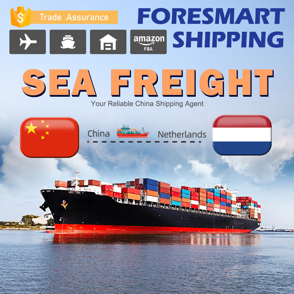China China To Netherlands International Sea Cargo Services wholesale