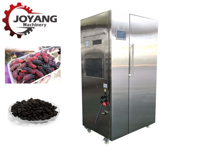 China Heat Pump Mulberry Drying Machine Hot Air Blower For Fruit wholesale