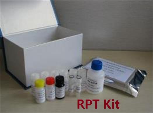 China RPT ELISA Kit wholesale