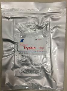 China Yellowish Lyophilized Powder, Yaxinbio Recombinant Porcine Trypsin, CAS 9002-07-7 wholesale
