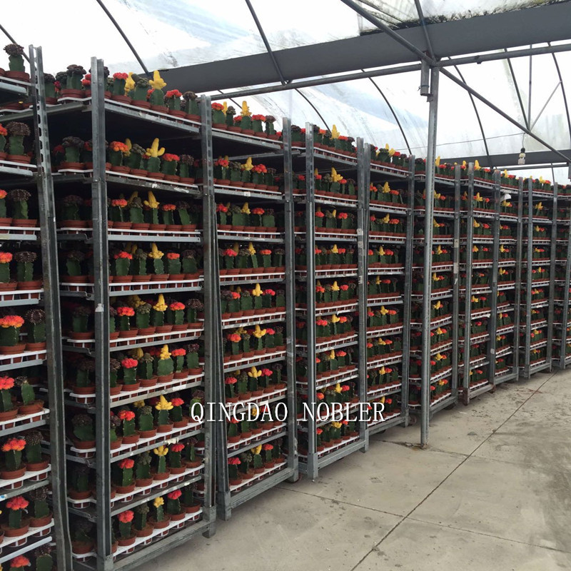 China Multi Layer Shelf Greenhouse Transport Danish Plant Trolley wholesale