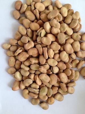 2014 new crop broad bean with top quanlity of 
