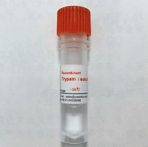 China 3800 U/Mg Pro 10mg Recombinant Trypsin For Insulin Production wholesale