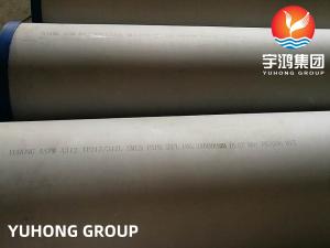 China ASTM A312 TP317L Stainless Steel Seamless Tube 100% ET UT Boiler Tube wholesale