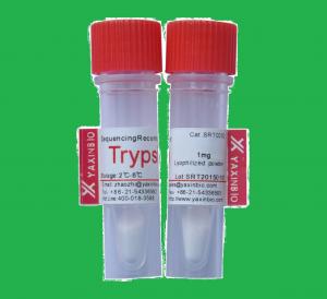 China Sequencing Grade Modified Trypsin, Used for Peptide Fingerprinting Analysis CAS 9002-07-7 wholesale