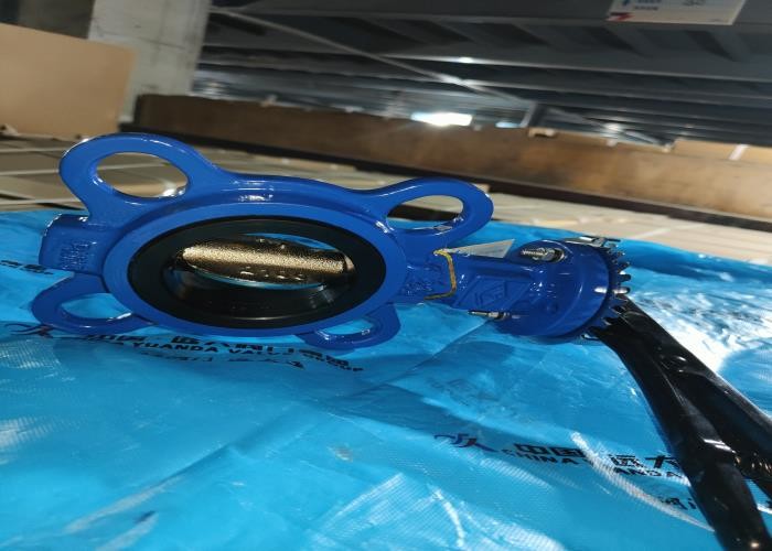 China Pn16 Dn100 Wafer Type Butterfly Valve With Pin Cast Iron Material Emdp Seat wholesale