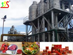 China Concentrated Fruit Pulp Production Line High Capacity wholesale