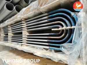 China ASTM A213 / ASME SA213 TP316L (1.4404) Seamless U Bending Tube For Heat Exhcanger wholesale