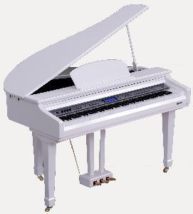 China 88 Key Digital Grand Piano (MLP-8000W) wholesale