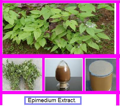China epimedium herb extract/Epimedium /Icariin 10% 20% 30% 40%,50% 60% 70% 80% 90% 98% wholesale