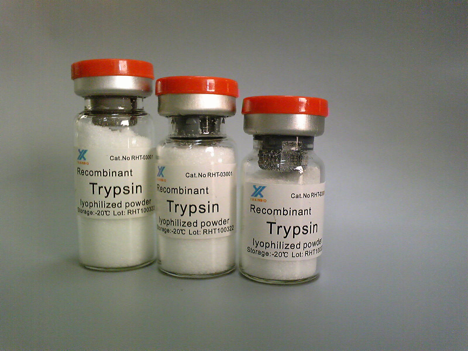 China Animal Origin Free, High Stability, Recombinant Human Trypsin, Digest Protein wholesale
