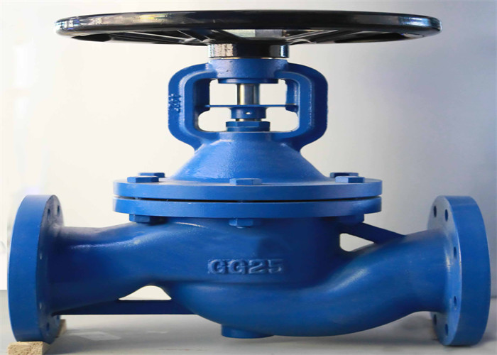 China Stainless Steel DIN GG25 Globe Valve PN16 Manual High Temperature Resistance wholesale