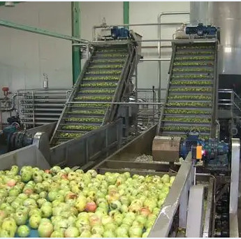 China Natural Flavor Mango Processing Line 63% Brix wholesale