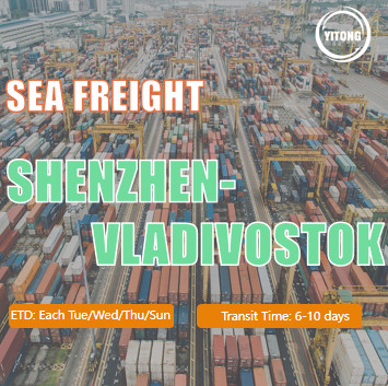 China Shipping Sea Freight International From Shenzhen To Vladivostok Russia wholesale