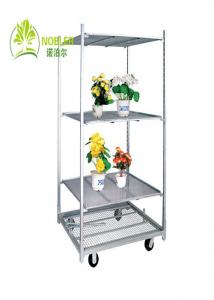 China Flower And Plant Trolleys Cc Container , Galvanized Flower Dutch Trolley Carts wholesale