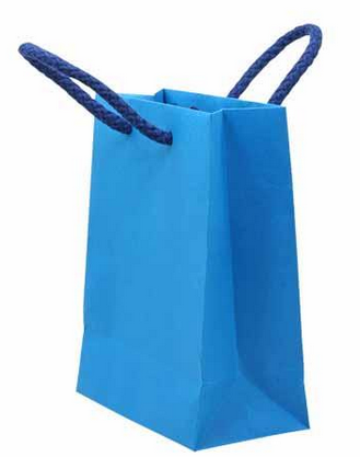 Glossy Lamination Rope Handle Paper Bags for Clothing Boutiques
