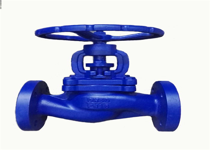 China Cast Iron Water Flanged Globe Valve DIN GG25 PN16 Stainless Steel wholesale