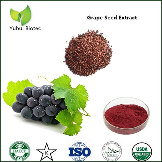 grape seed extract,black grape seed extract,gr