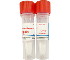 China Sequencing Grade Modified Trypsin, For Protein Identification wholesale