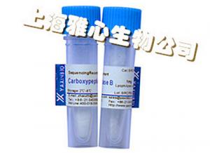 China High Stability, Expressed in Recombinant E. Coli, Carboxypeptidase B, White Powder wholesale