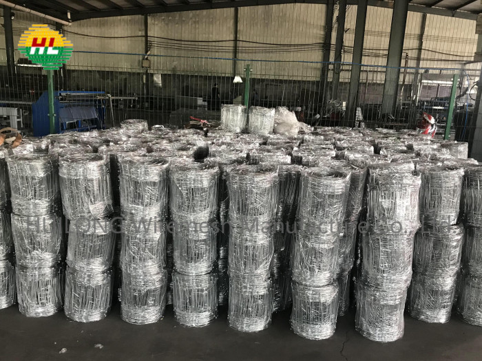 China High Galvanized Hinge Joint Wire Mesh Light Weight Q195 Carbon Steel wholesale